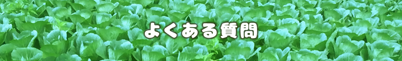 よくある質問