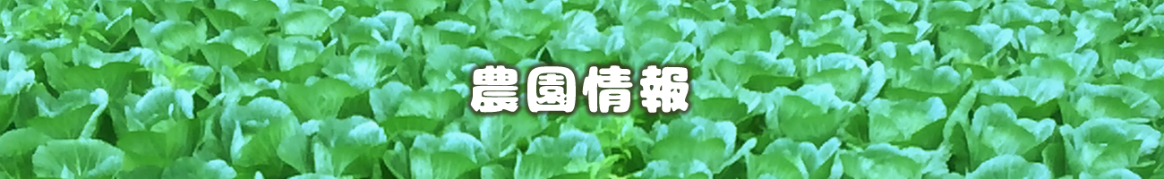 農園概要