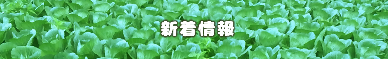 新着情報詳細