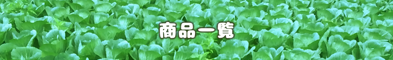 商品一覧