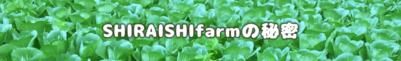 SHIRAISHIfarmの秘密