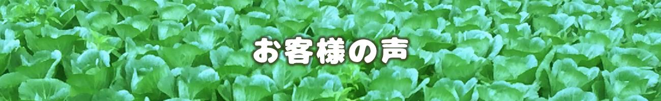 お客様の声