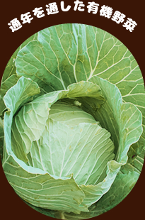 通年を通した有機野菜