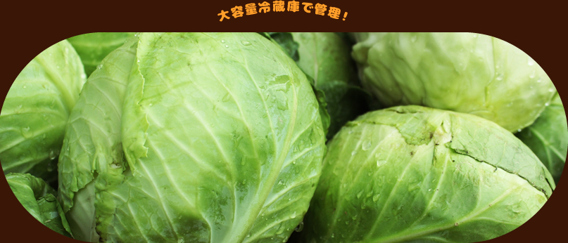 大容量冷蔵庫で管理！