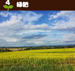 4緑肥