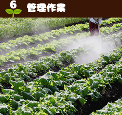 6管理作業